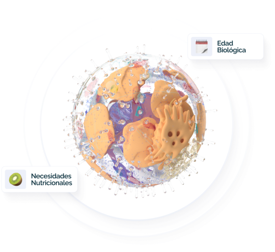 Test de Sistema Inmune pide cita con el Nutricionista Jorge Dotto.